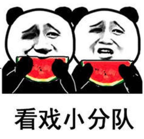 娱乐圈吃瓜表情图卡通版,趣味解读明星幕后故事  第1张